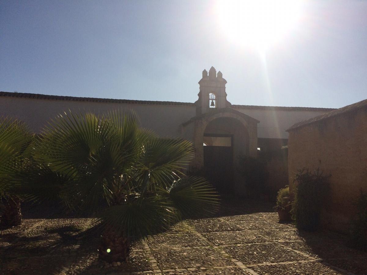 Hacienda Los Jinetes カルモナ エクステリア 写真